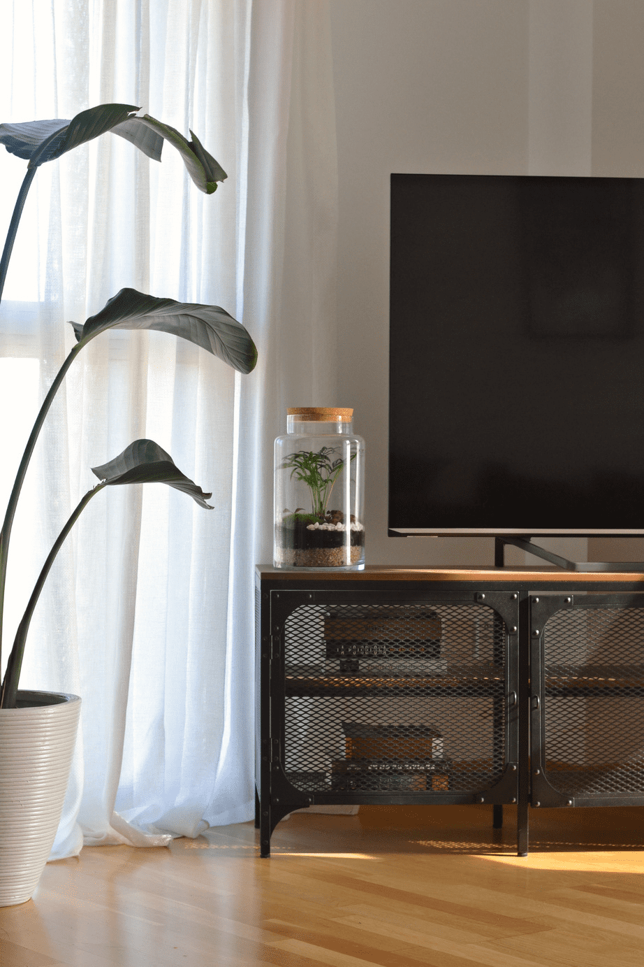 fotograf&iacute;a de un jard&iacute;n eterno sobre una mesa de sal&oacute;n