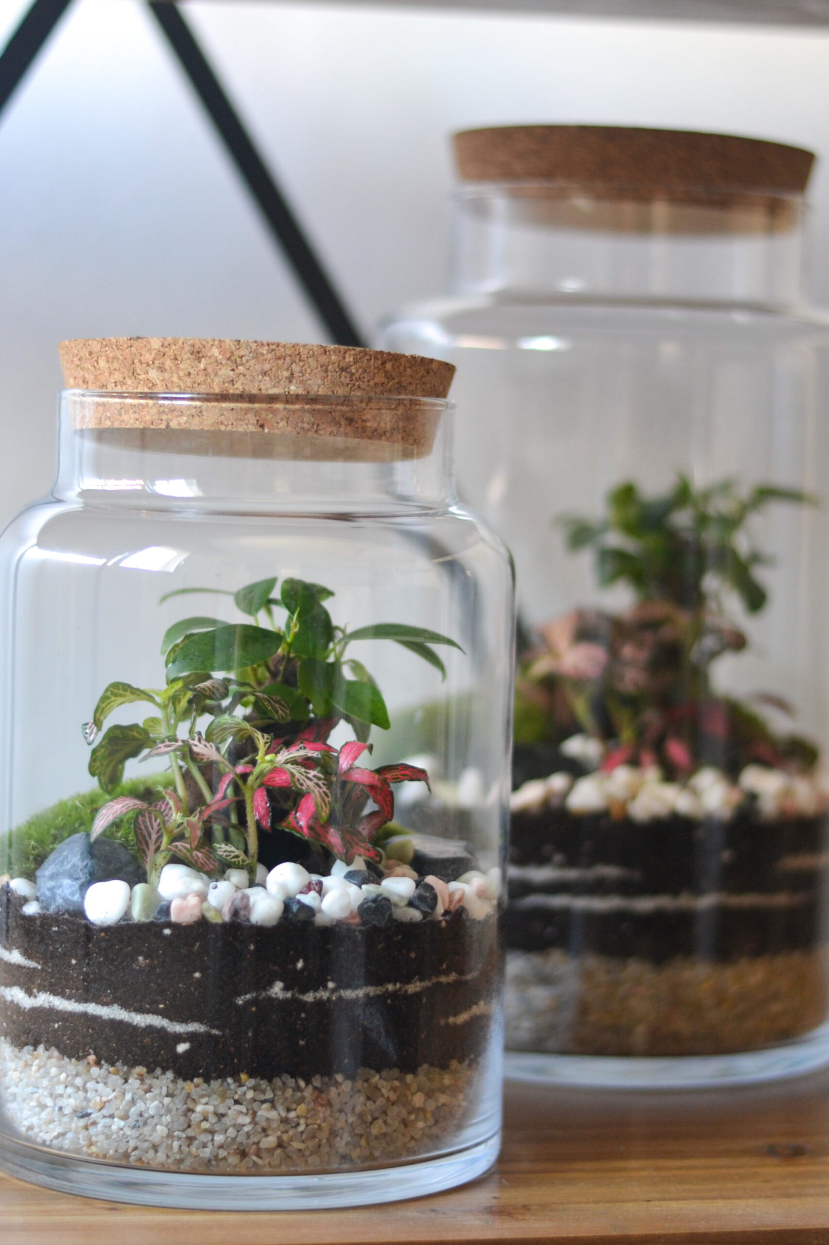 Jardines Eternos en exposición