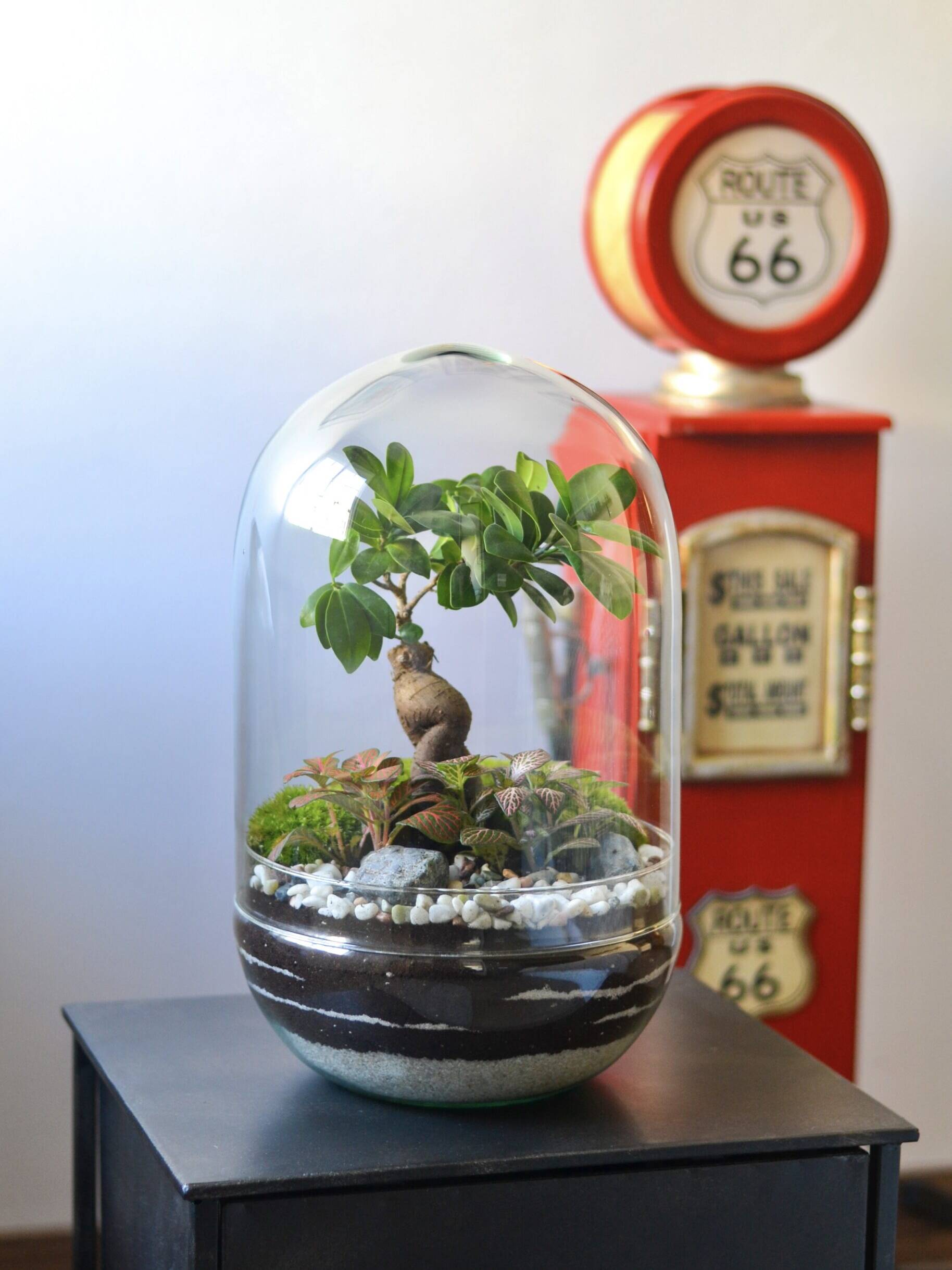 A Toxa home jungle